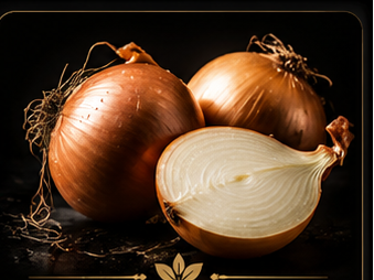 Cebolla