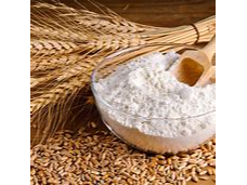 HARINA DE TRIGO 00 - paq. 1 KG