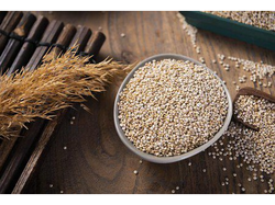 QUINOA BLANCA - paq. 500 grs