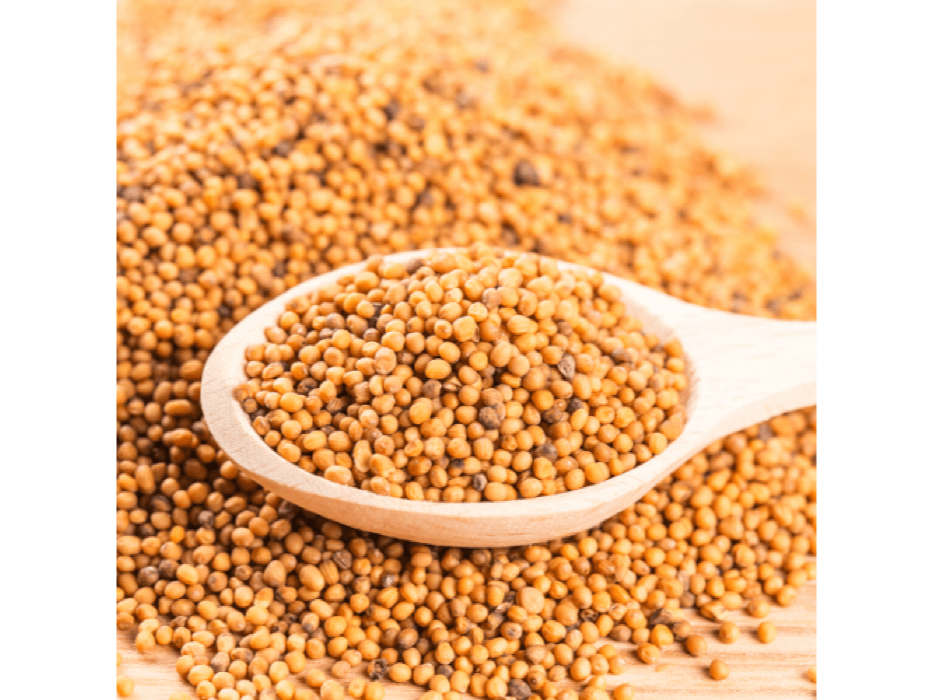 SEMILLAS DE MOSTAZA - paq. 500 grs