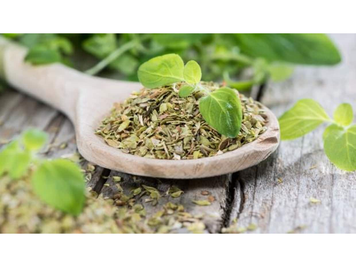 OREGANO - paq. 250 grs