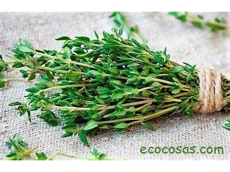 TOMILLO - paq. 250 grs