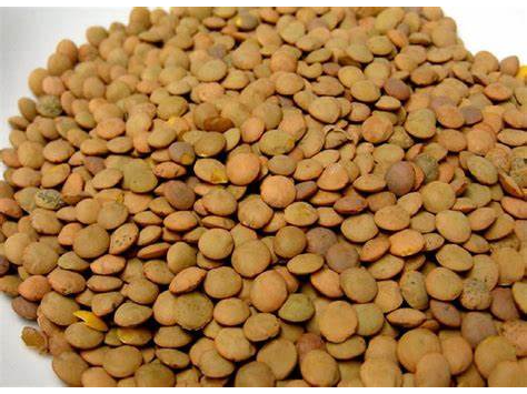 LENTEJONES - PASQ. 1 KG