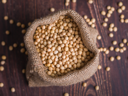 POROTO DE SOJA - PAQ. 1 KG