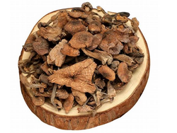 HONGOS SECOS - PAQ. 250 GRS