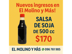 salsa de soja fraccionada 500 cc