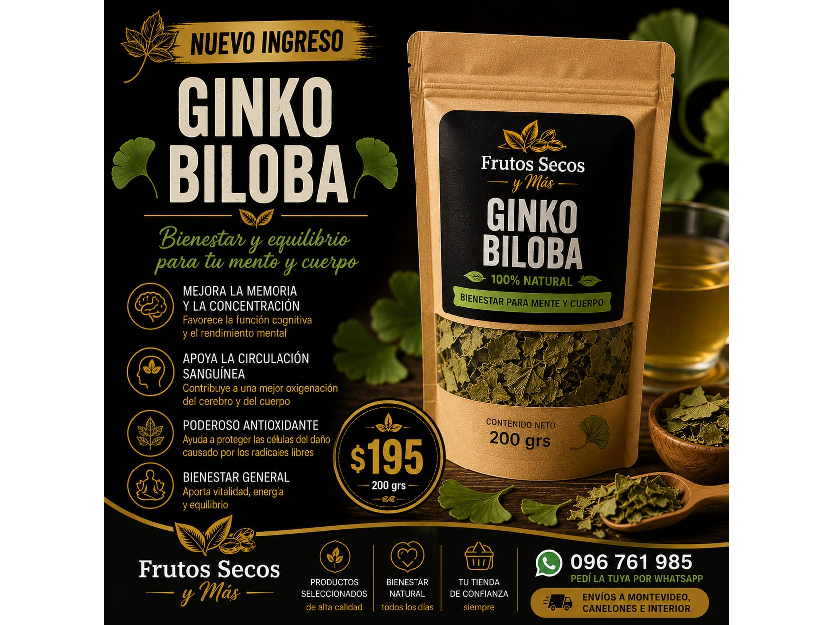 GINKO BILOBA 200GR