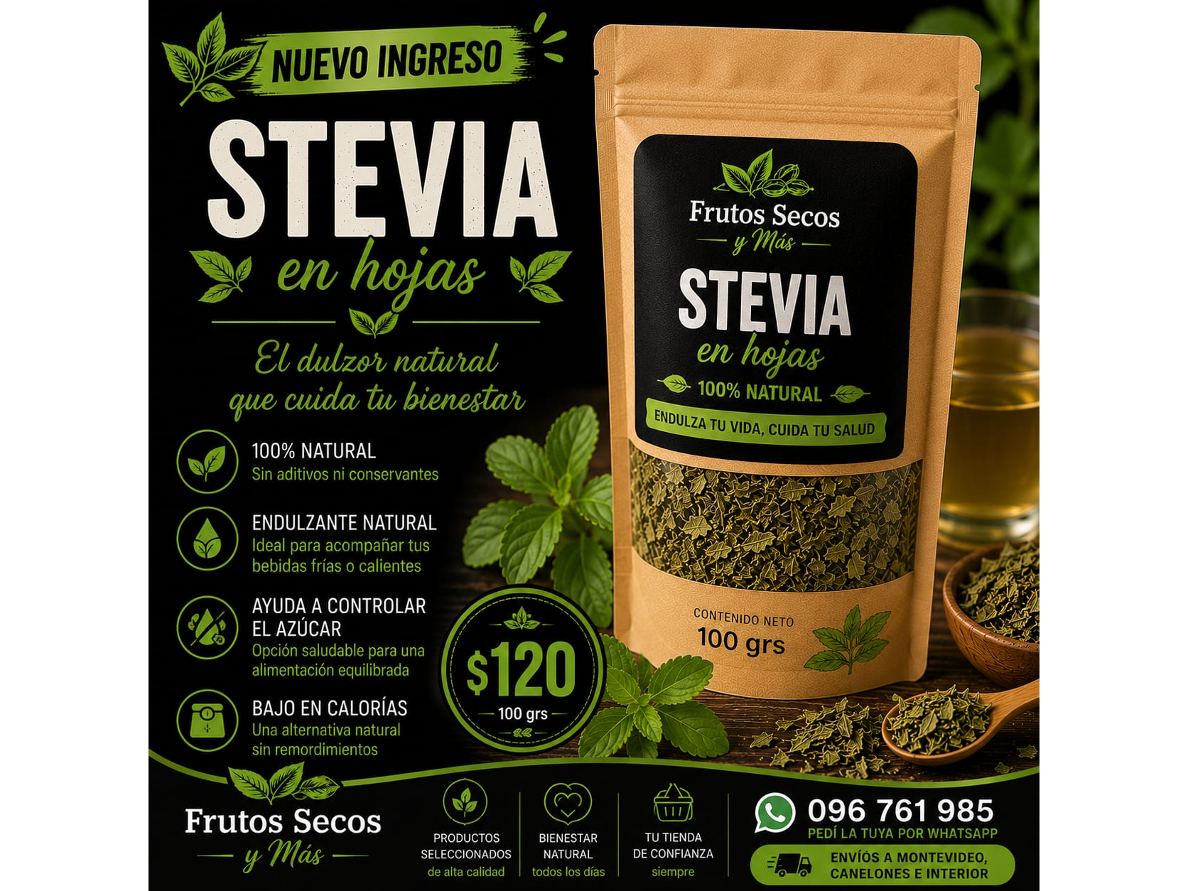 STEVIA 100GR