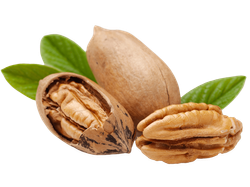Nuestro pecan con cáscara 500 grs