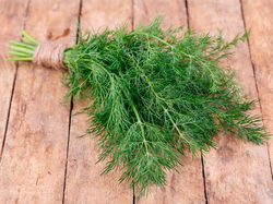 Eneldo - paq. 100 grs