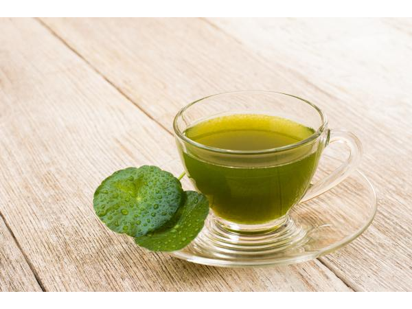 CENTELLA ASIATICA 100GR