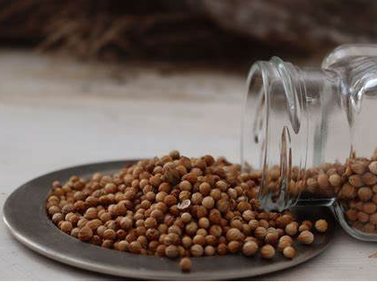 Coriandro en Grano - paq. 250 grs