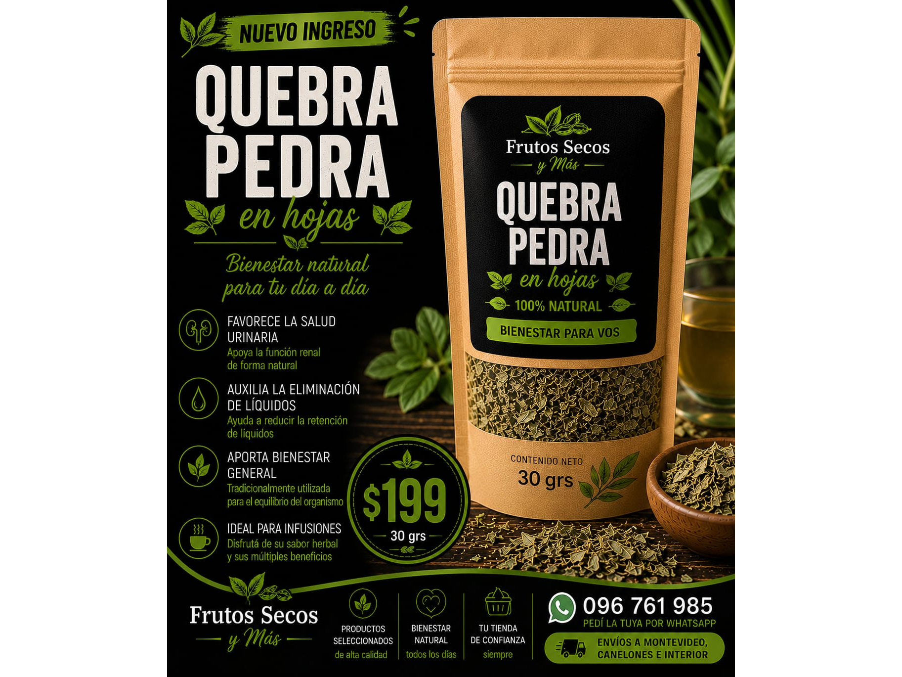 QUEBRA PEDRA 30GR