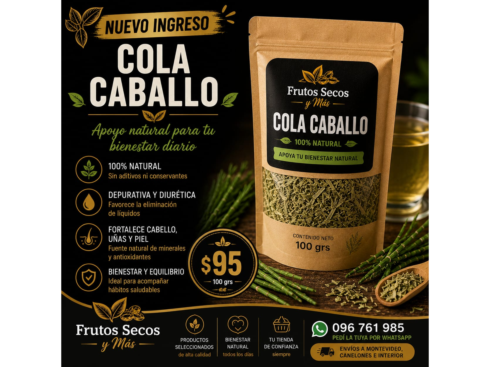 COLA DE CABALLO 100GR