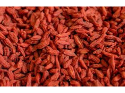 Bayas de goji