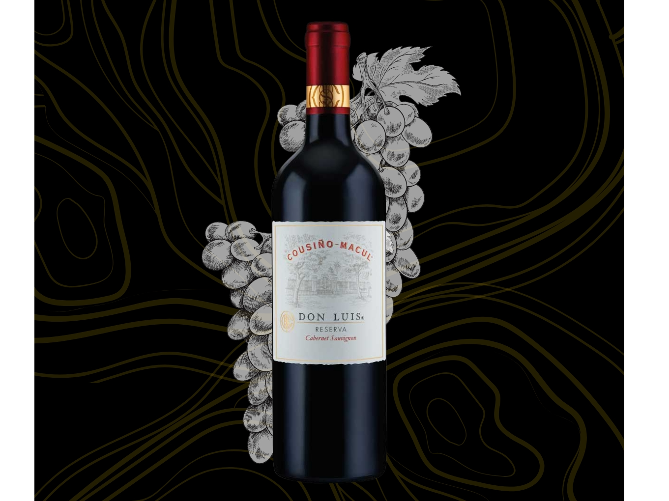 Vino Don Luis Cousiño Macul