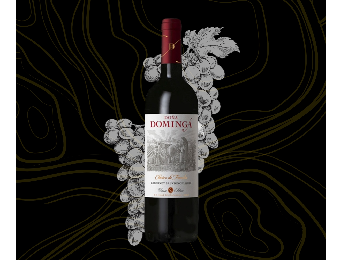 Vino Doña Dominga