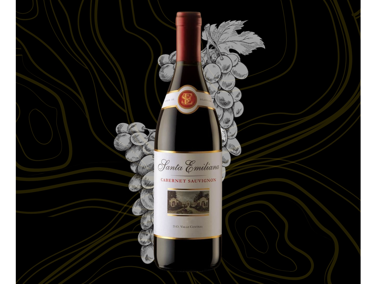 Vino Santa Emiliana