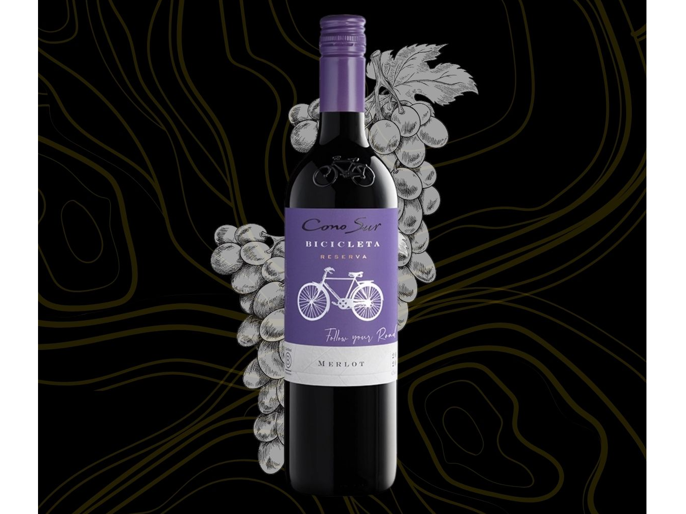 Vino Bicicleta Merlot