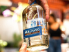Pisco Mal Paso Pedro Jiménez 750 ml.