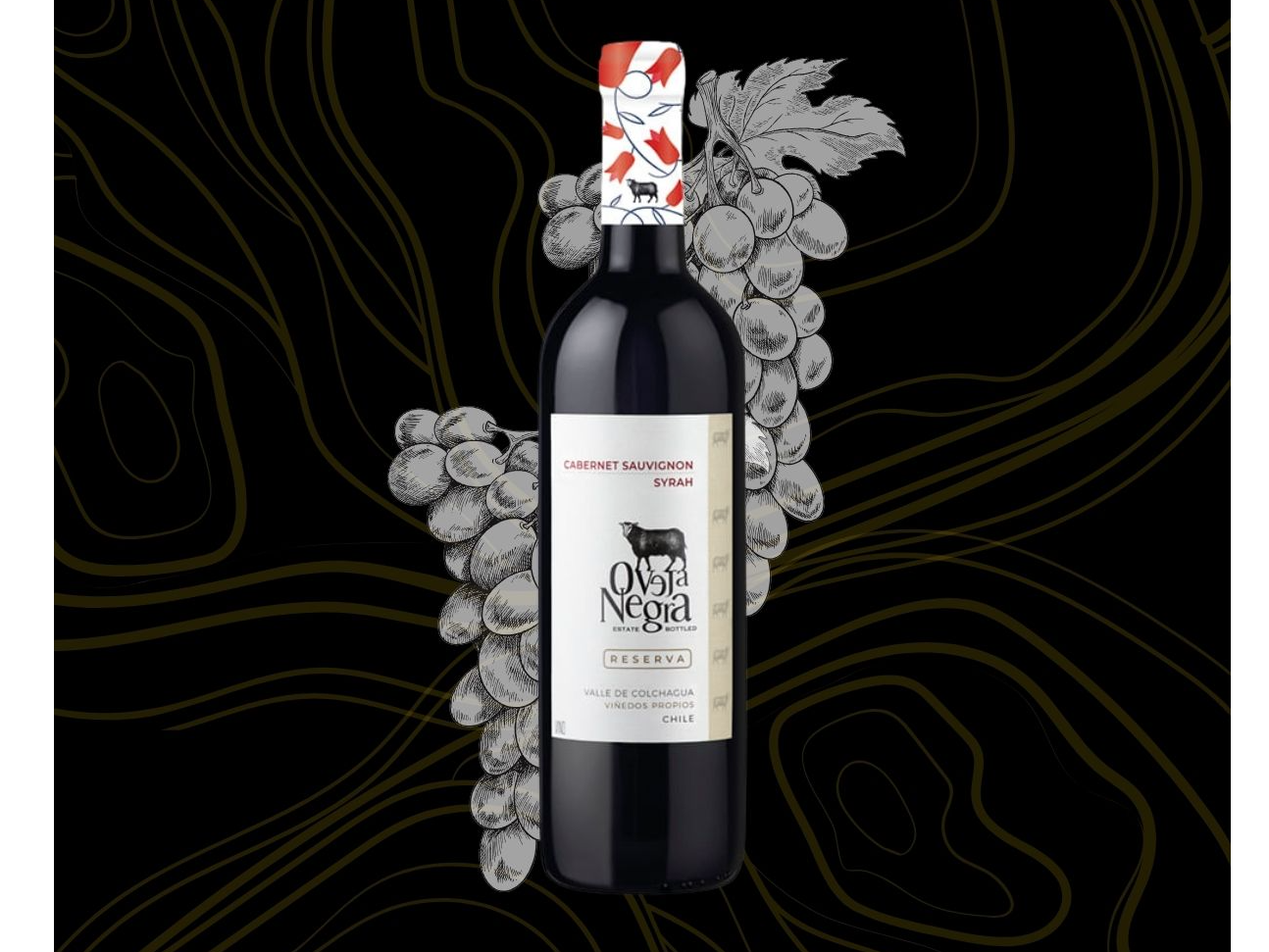 Vino Oveja Negra