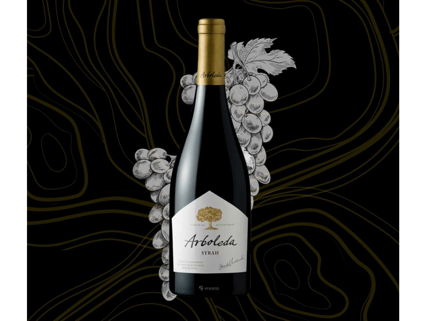 Vino Arboleda