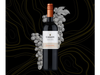 Vino Carmen