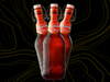 Kunstmann Gran Torobayo Botella