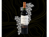 Vino castillo Molina