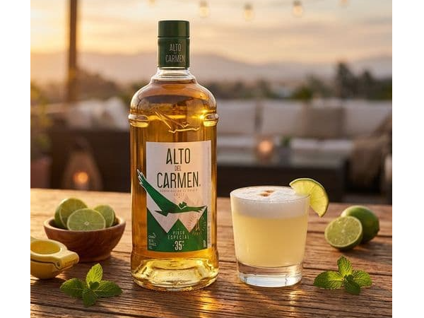 Alto del Carmen 750 ml.