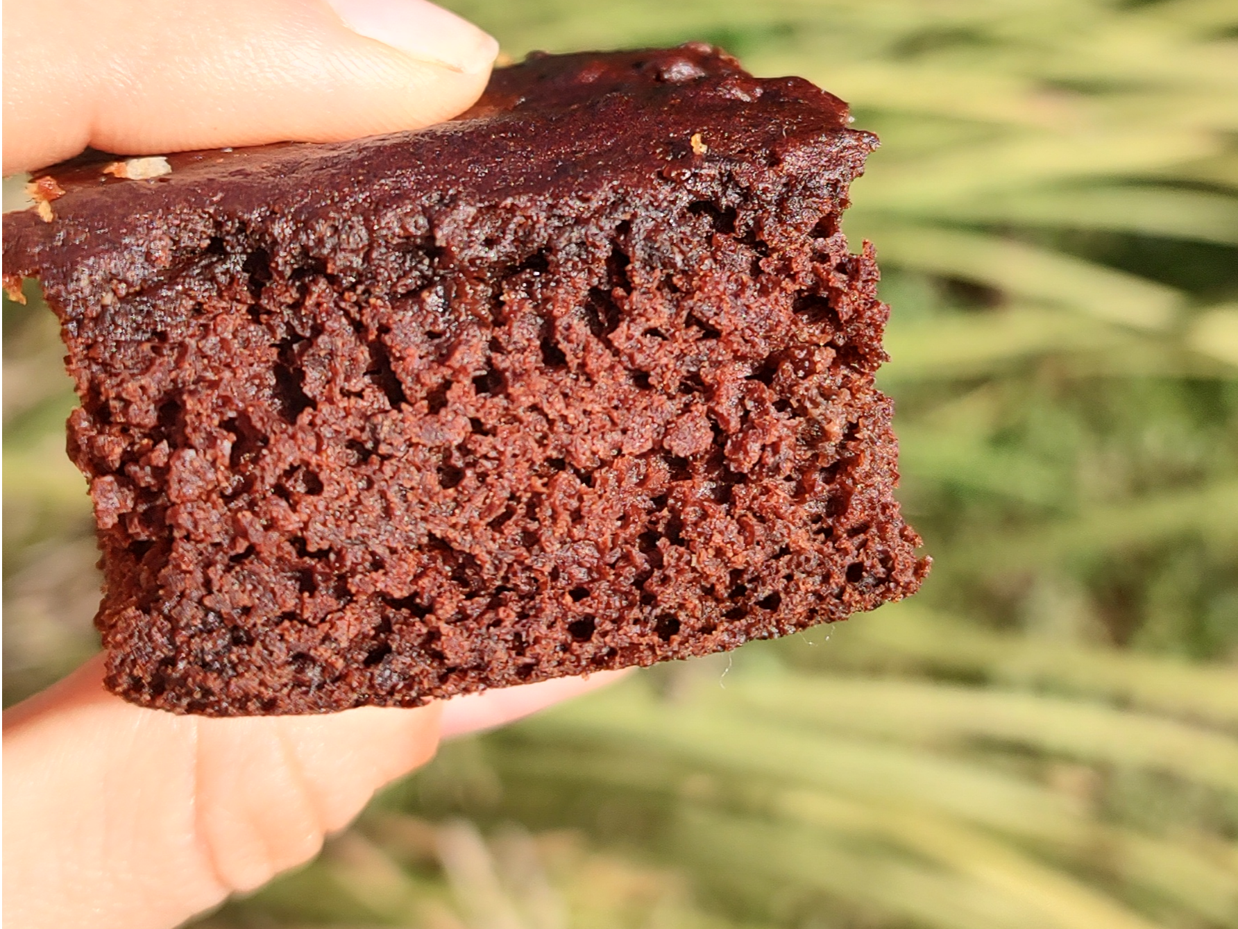 Brownie 🍫