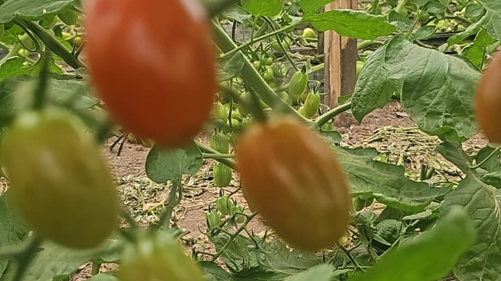 PROMOCIONES  Marzo❤️