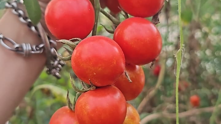 ENTREGAS ♡  Abril  21/04,22/04,24/05 y25/04