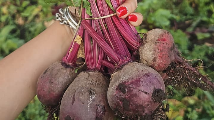TU  BOLSÓN PERSONALIZADO..Mínimo $30.000)