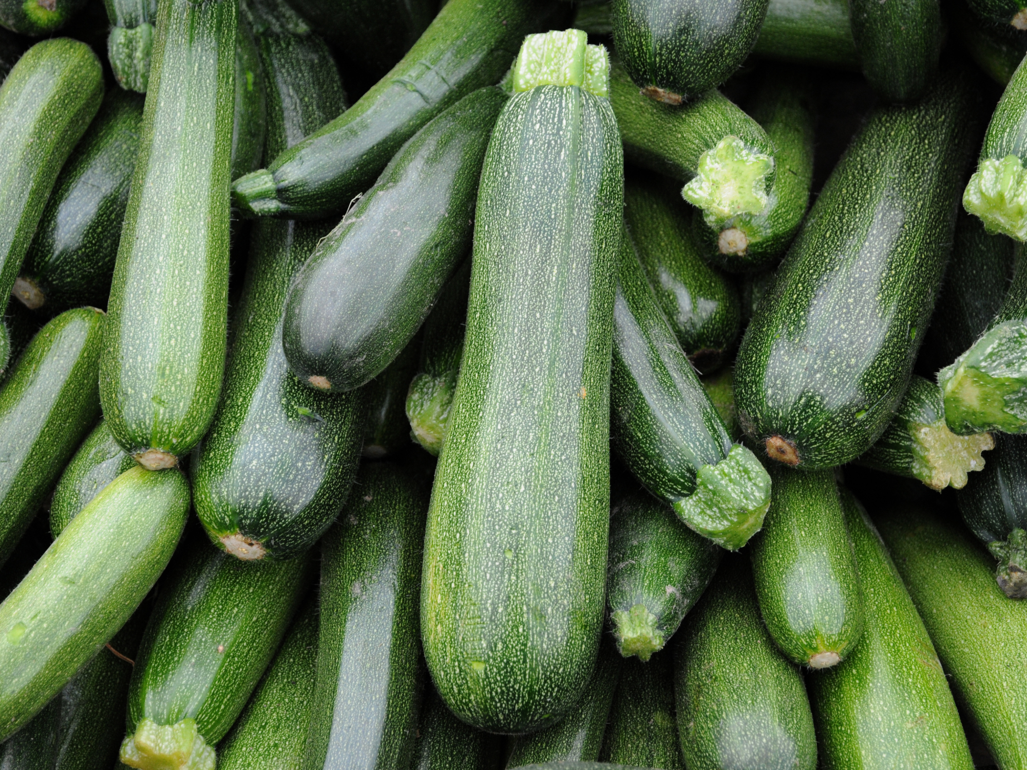 Zucchini 1 kg 🥒