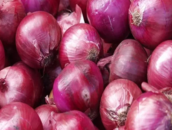 Cebolla morada 1 kg🫐