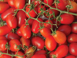 1 kg cherry