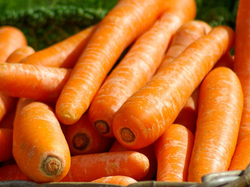 Bolsón de zanahorias 10 kg