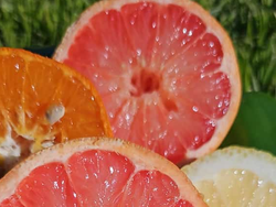 Pomelo rosado  1 k🍊