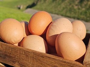 Huevos de campo / 30 unidades ✅️ de El Bolsón Orgánico