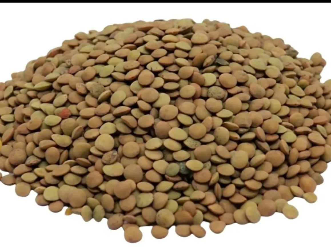 1/2 kg De Lentejas