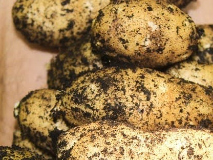2 Kg De Papas negras