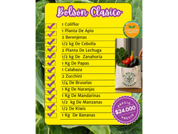Bolsón clásico Mas 30 Huevos