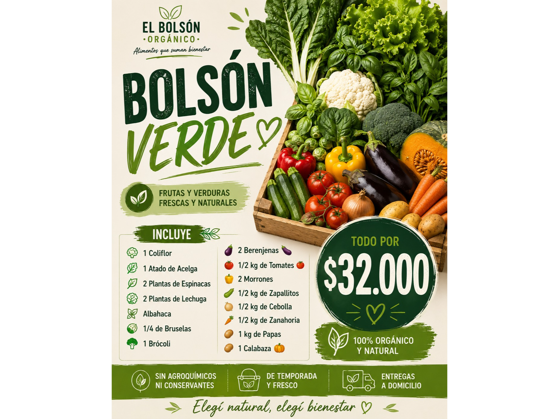 Bolsón VERDE  💚