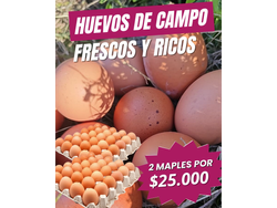 2 MAPLES Huevos De Campo. 🥚
