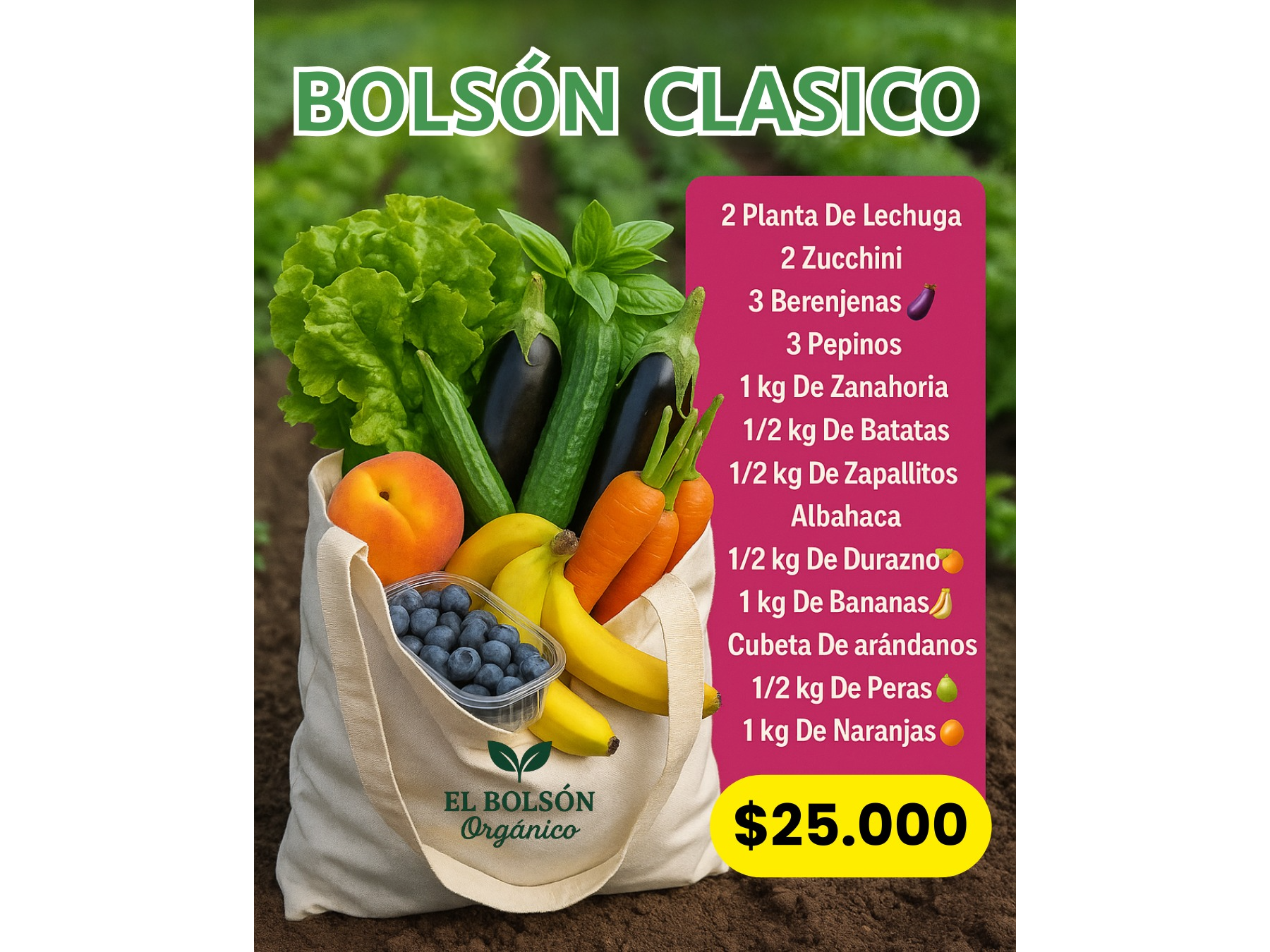 Bolsón clásico Mas 30 Huevos