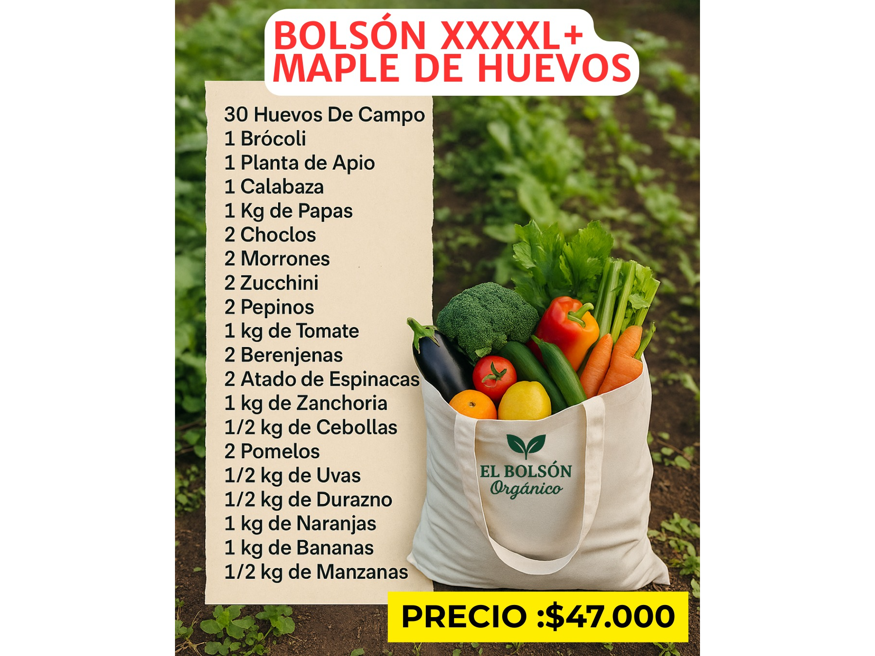Combo bolson xxxxl + maple de 30 huevos