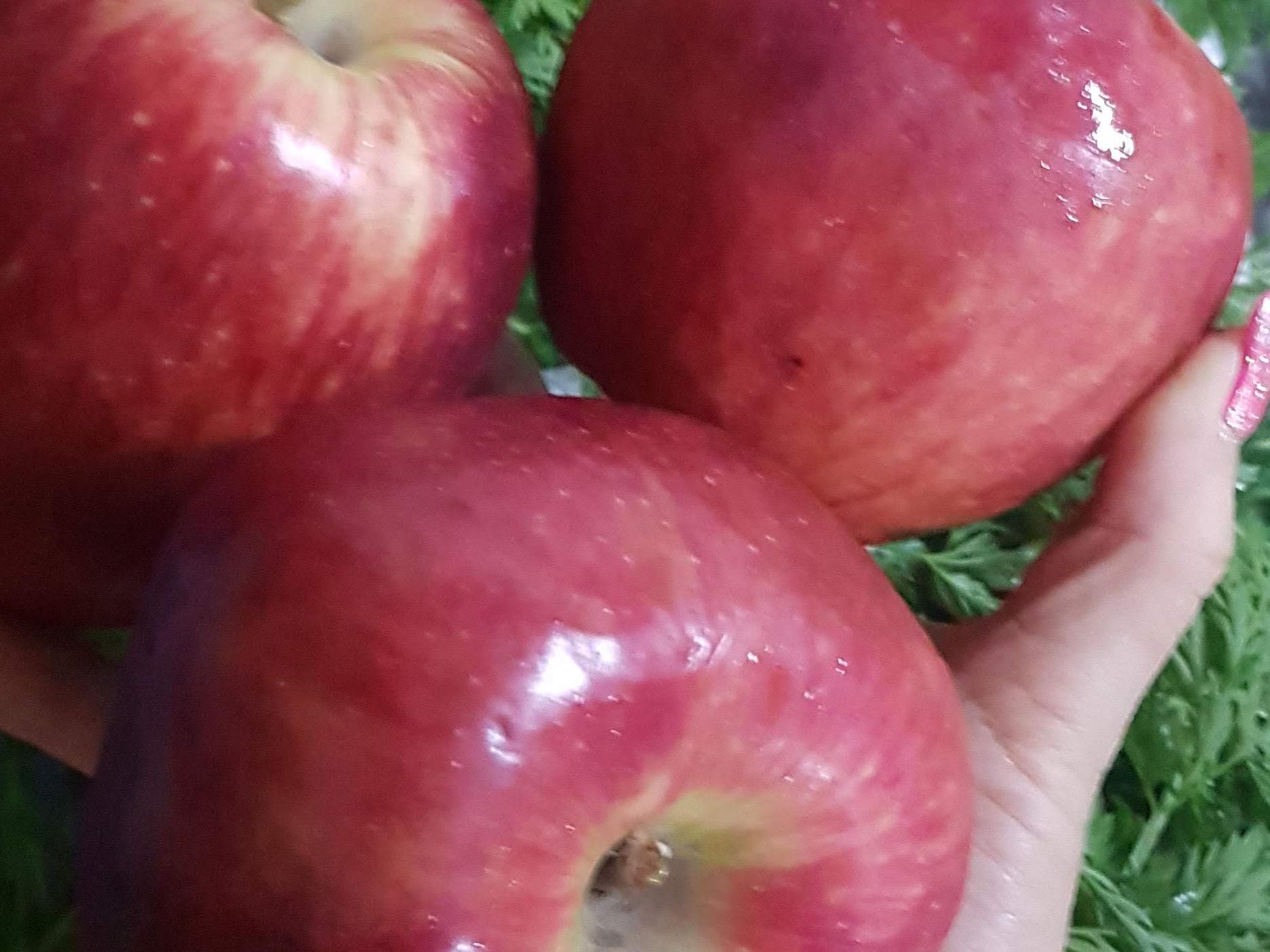2 kg Manzanas 🍎