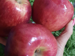 2 kg Manzanas 🍎 de El Bolsón Orgánico