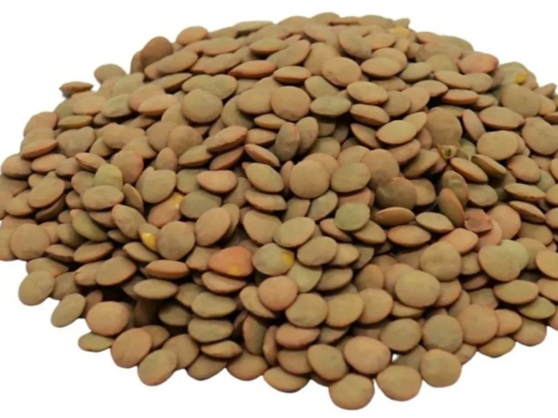 1/2 kg De  Lentejon
